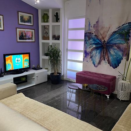 Dorotea Butterfly Apartment Budva Exterior foto